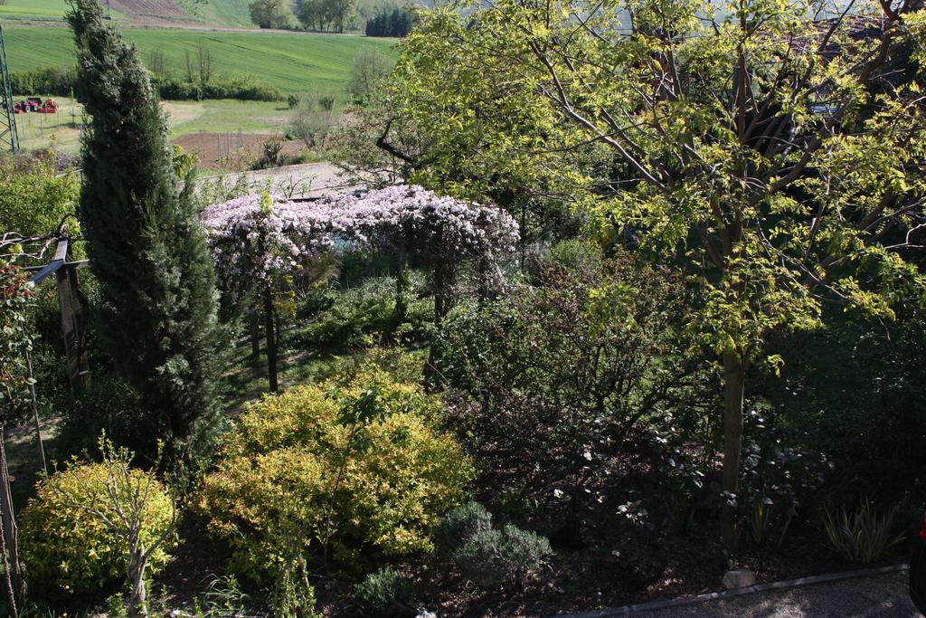 B&B La Casetta Villaromagnano Exteriör bild